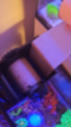Thumbnail: Filter Roller | 1G + 1.5G Small-In-One