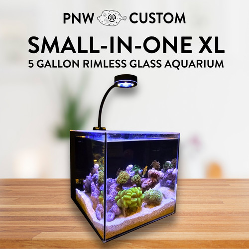 www.pnw-custom.com