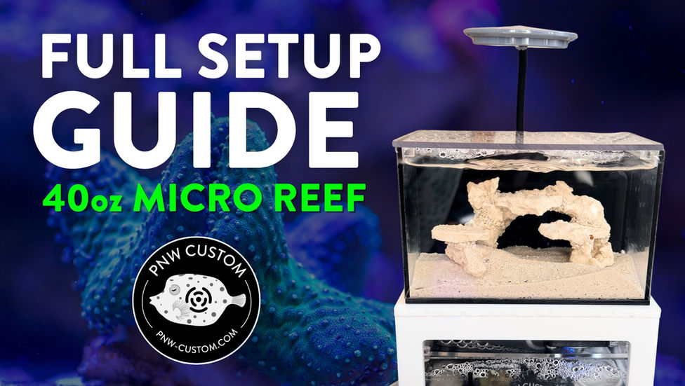 How to Set Up Your 40oz Micro Reef Tank
