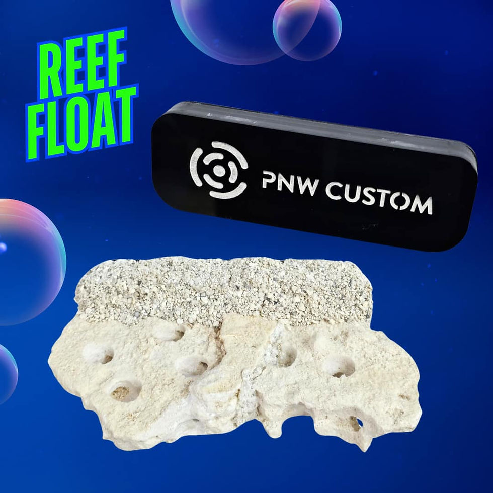 Reef Float - Magnetic Frag Rock