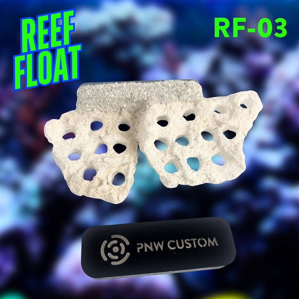 Thumbnail: Reef Float - Magnetic Frag Rock