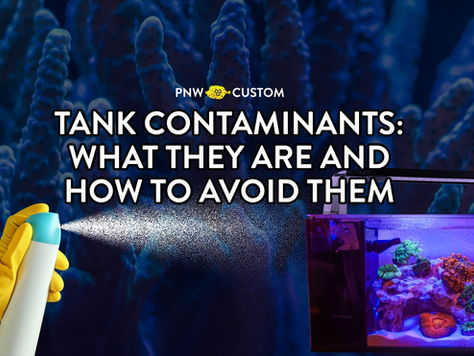 aerosols near reef tank