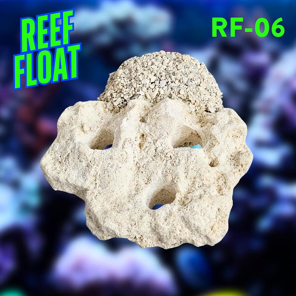 Thumbnail: Reef Float - Magnetic Frag Rock