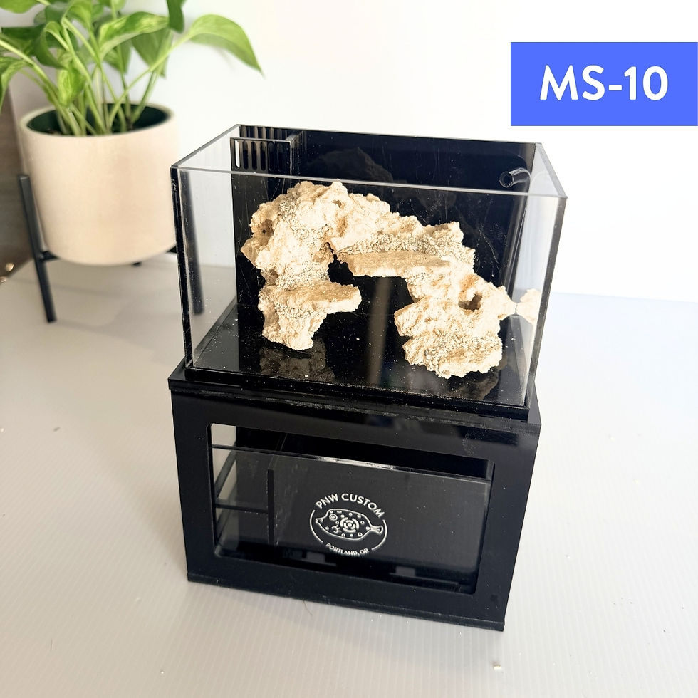 Thumbnail: Microscapes | 40oz Micro Reef-Ready Tank