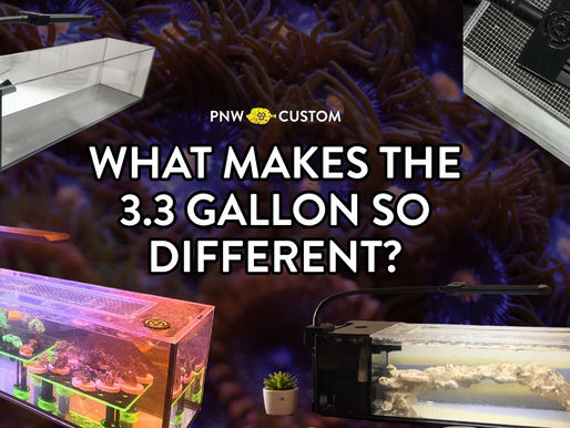 What Makes the 3.3 Gallon So Different?