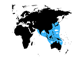 Untitled design (3).png