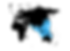 Untitled design (3).png