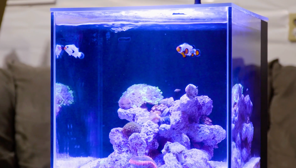 Screenshot 2025-11-16 at 12.37.25 PM.png