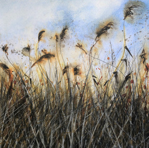 Norfolk Reed Bed SOLD