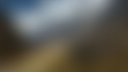 Message Important d’IntegraSoul