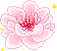 flower.png
