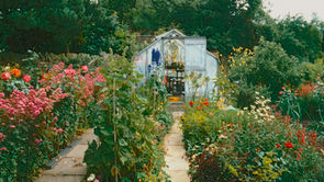 Why Pacing Yourself in the Garden Is the Key to Enjoying It for Years