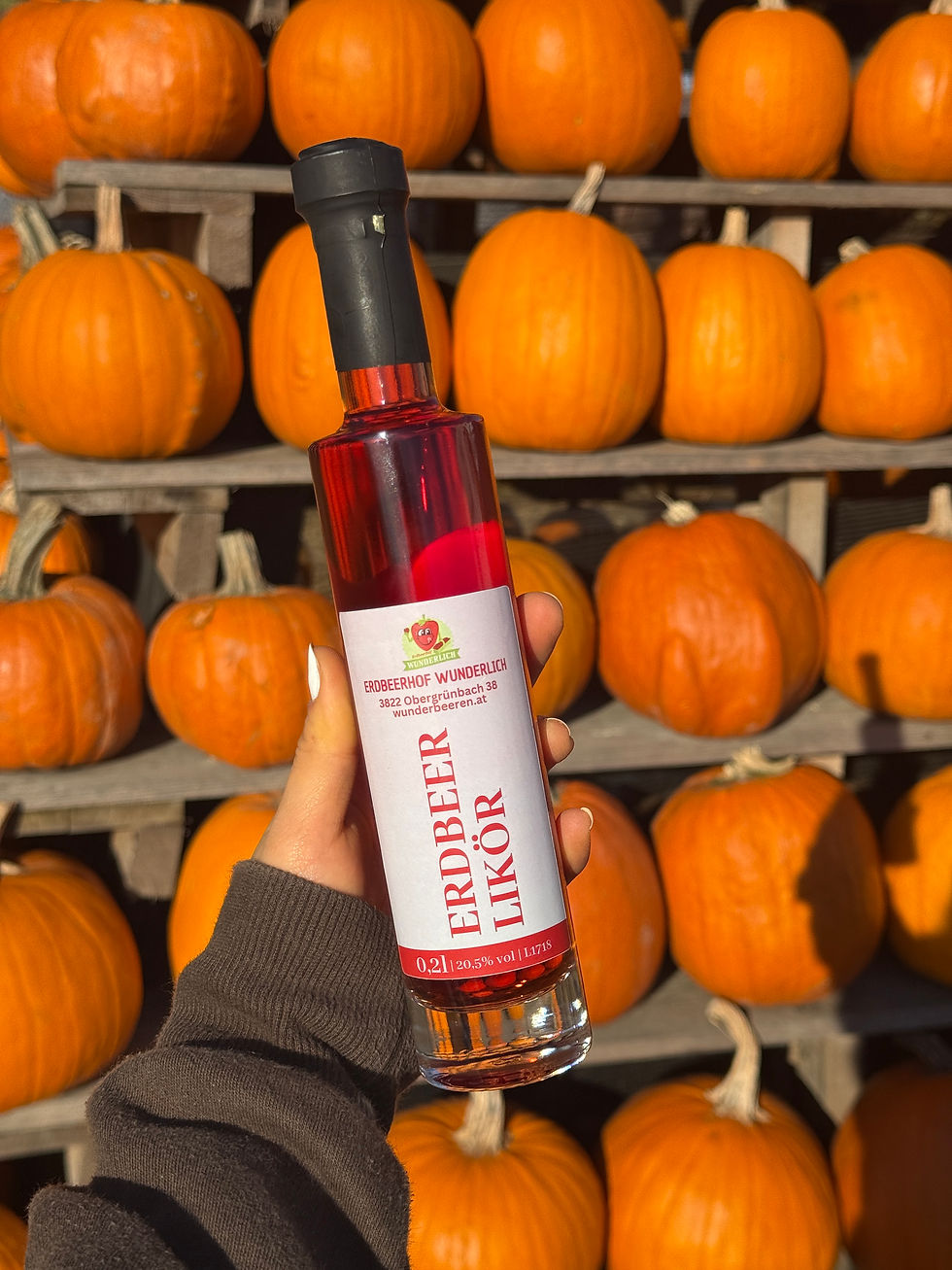 Erdbeer Likör