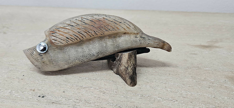 Miniature : Pélican bélier