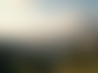 Aspectos Legales de Invertir en México para Extranjeros