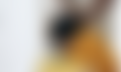 Family Travel During Covid: What You Need to Know for Safe Covid Travel