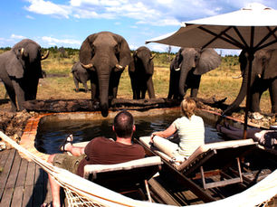 Custom African Adventures Designed Just for You