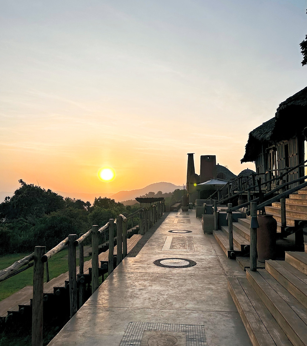 Roaming Birdie - Customized Itinerary Planning Service