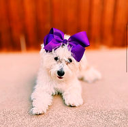 Millie
