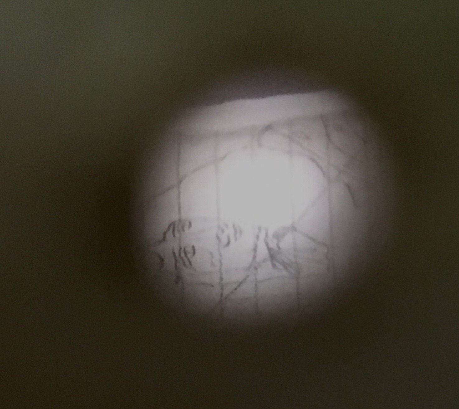 peep hole view peep hole view