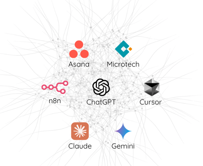 Their interconnected ecosystem_edited.png