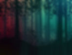 !background (3).jpg