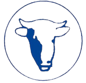Logo_Vilarta.SA_antic1_CaraBlauTransp.png