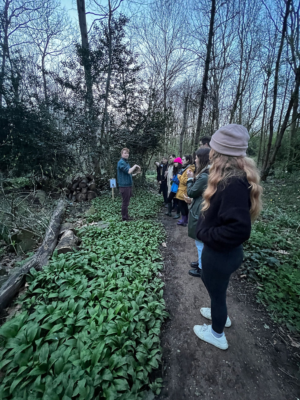 Thumbnail: Cocktails, Folktales and Foraging Gift Voucher for One