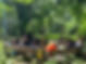B6B9081D-1E03-437F-A0ED-4547A2CAE0B0_1_102_o.jpeg