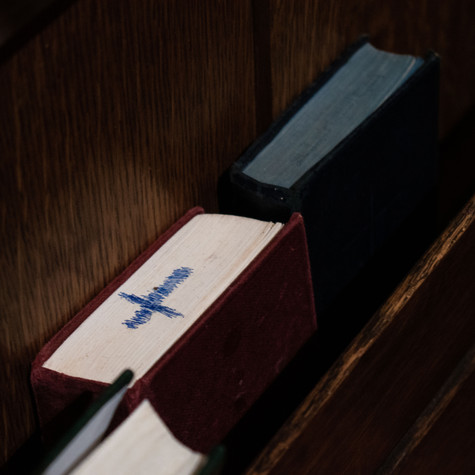 _DSC4479.jpeg