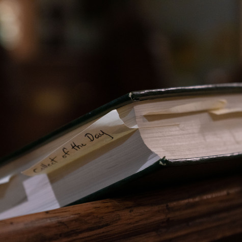_DSC4483.jpeg