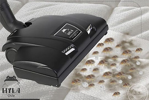 hyla limpieza de acaros