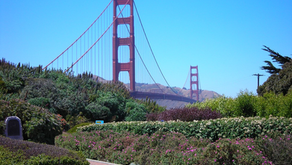 Fun Family Activities to Enjoy in San Francisco with Kids