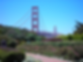 Fun Family Activities to Enjoy in San Francisco with Kids