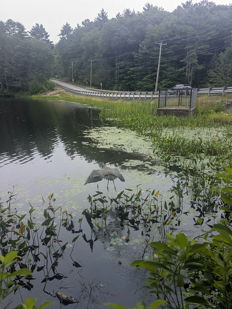 Bigelow Hollow State Park