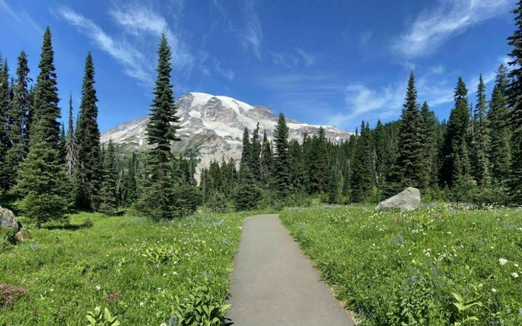 Top Ten Family-Friendly Hikes in Washington State