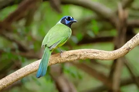 Santa Ana National Wildlife Refuge