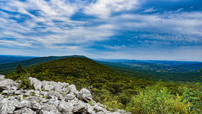 Hawk Mountain Sanctuary