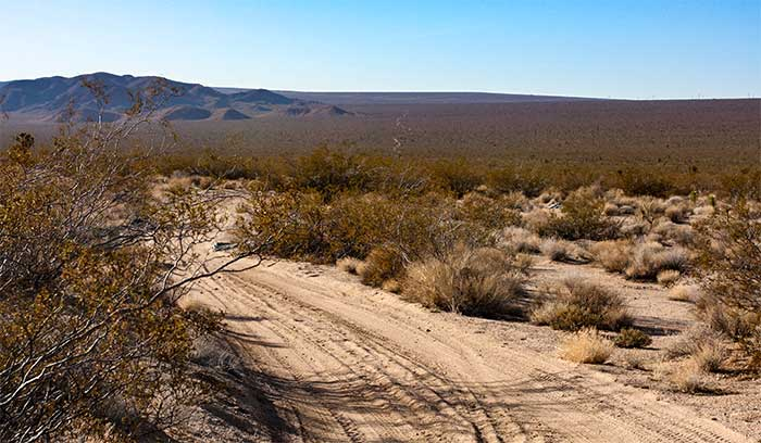 Mojave Road