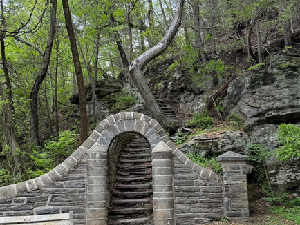 Wissahickon Gorge