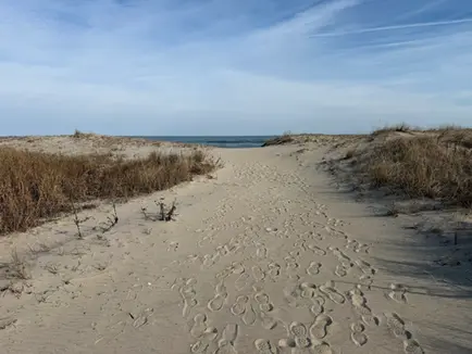 Chincoteague