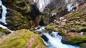 Dover Plains Trails