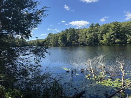 Bigelow Hollow State Park