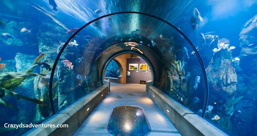 Oregon Coast Aquarium