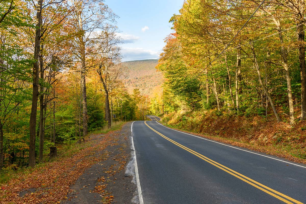 Upper Delaware Scenic Byway, New York