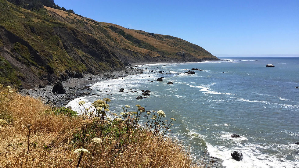 Lost Coast Trail, California