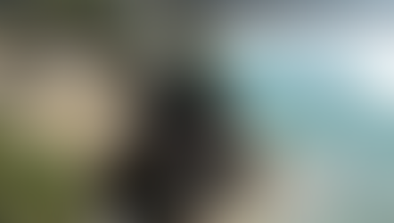 Uncovering the Epic Road Trip of Route 101. Lincoln City, OR to Bandon, OR