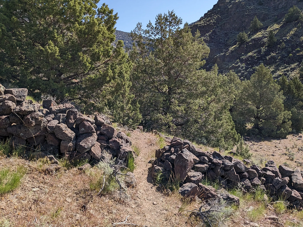 Threemile Creek Trail