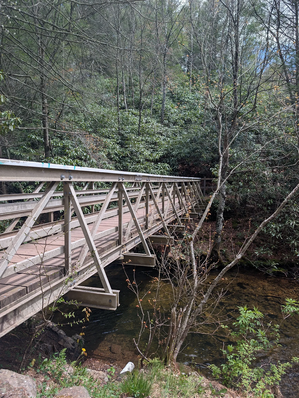 Hawk Falls Trail