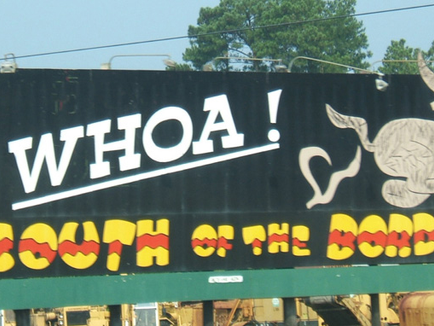 South of the Border